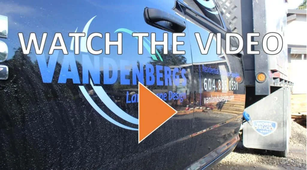 vandenberg video link 2